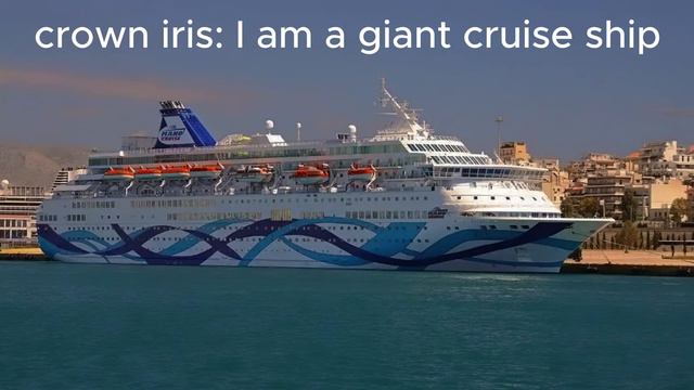 Mano vs Icon Of The Seas смотреть онлайн