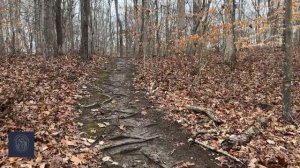 Fred and Alice Stanback Educational Forest and Nature Preserve - Spencer, NC