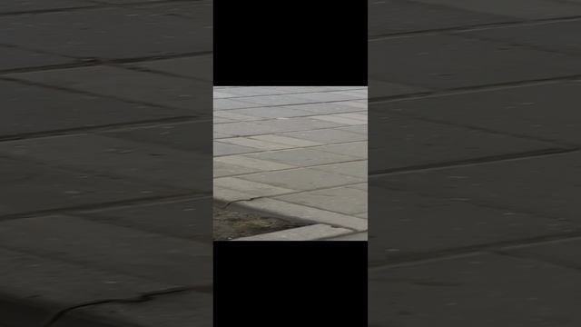 Грецкий орех.