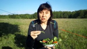 "Походный шашлык на печке щепочнице"