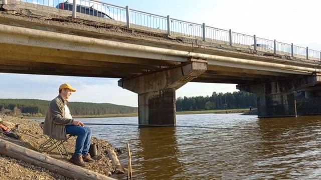 Уклейка на поплавочную удочку. Курганово.