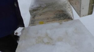 Зимовка пчел в восмирамочных ульях.