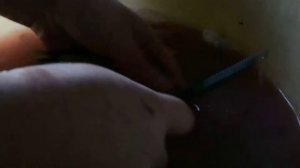 жестокое убийство карася или как легко почистить рыбу