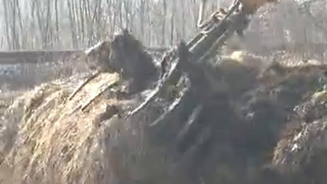 Carico Grazioli con Longinotti 2 смотреть онлайн