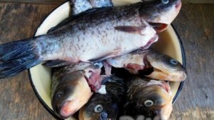 Консервы из карасей в духовке