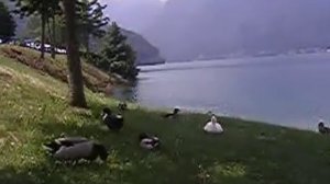 vacanza a pieve di ledro trentino