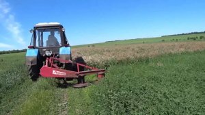 Покос люцерны и эспарцета 2019.