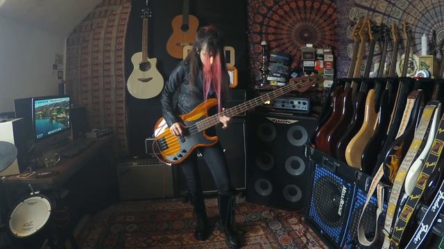 Schecter Exotic Bass... Absolutely Unreal смотреть онлайн