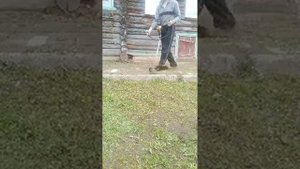 ponikigogo ремонт тримера