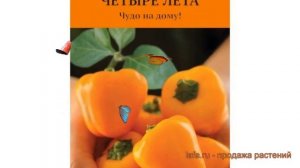 Перец сладкий Тема (tema) ? сладкий перец Тема обзор: как сажать, семена перца Тема