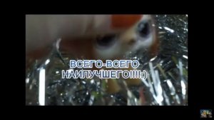 LPS: "Просмотр моих старых видео" :D