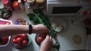 МАРИНОВАННЫЕ ОГУРЦЫ вкус №4, вкус №5. БЕЗ ЧЕСНОКА