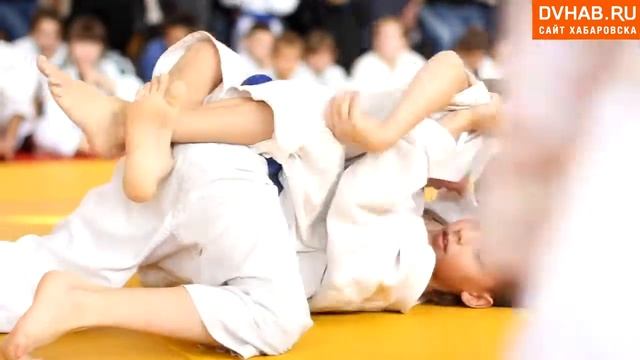 Открытый чемпионат и первенство края по джиу-джитсу. смотреть онлайн