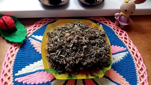 Короставник лекарственный. Защитник нашей кожи.