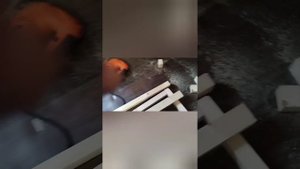 ДЕЛАЮ КЛЕТКУ ДЛЯ КАНАРЕЕК