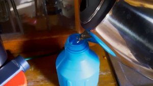 Сокол моется / Отпаривание перьев / Время Сокола