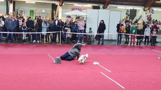 Vladislava Akimova and Rosh 23.03.2019. смотреть онлайн