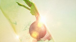 Сады Придонья_овощной сок_"Свёкла"