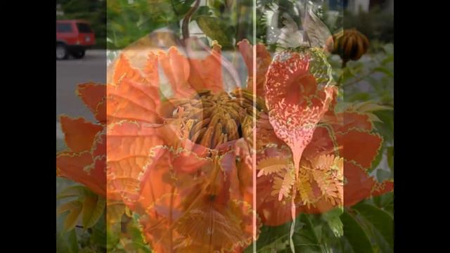 мир чудес смотреть онлайн