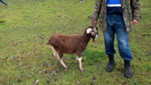 Фотография & Туризм фототур "Зимняя Абхазия" смотреть онлайн