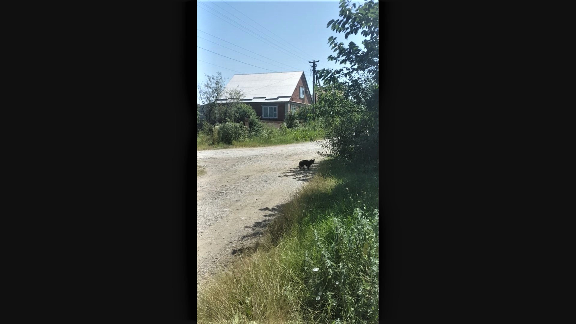 В Краснодарском крае Африканская жара смотреть онлайн