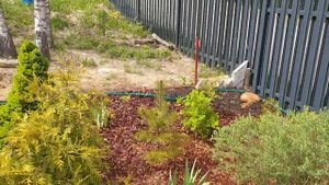 Дождеватели Gardena 01.06.2020
