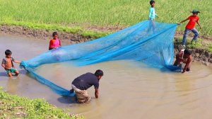 Amazing Net Fishing Video - Village People Catching Fish By Net in River (Part-03)