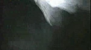 Сплин на программе Земля - Воздух