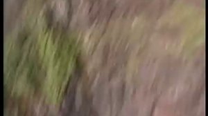 Прыжок Дмитрия Киселева с водопада Анхель, Венесуэла