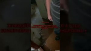 Ангарск. Живодёры на протяжении нескольких лет издевались над животными.