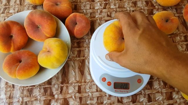 Инжирный персик Бельмондо (03.08.2018) смотреть онлайн