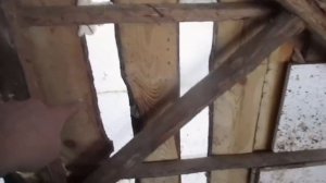 Коровник из пенопласта.