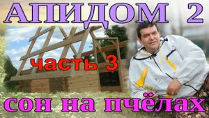 АПИДОМ   2 СВОИМИ РУКАМИ ИЛИ  СОН НА ПЧЁЛАХ часть 3.