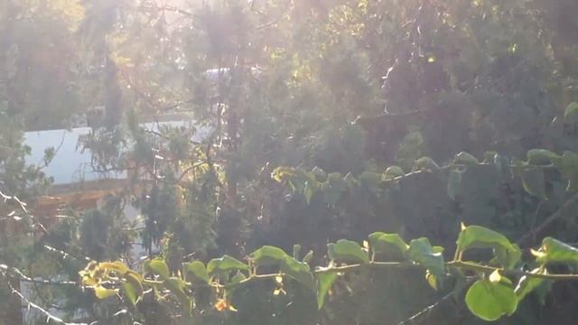 Египет зимой! Шарм Эль Шейх в январе. Новый год на красном море.