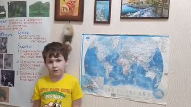 Проект "Тропические растения дома", Зюзя Ярослав, 7 лет, МБДОУ д/с 14