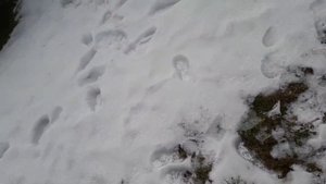 Грейферный ковш своими руками