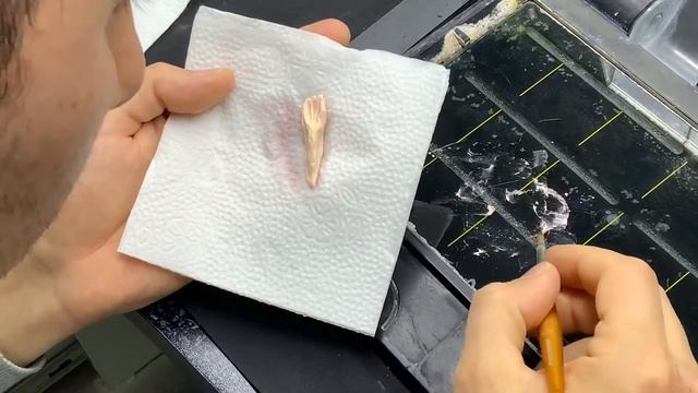 ОБЖИГ | Первая часть | ЗУБНОЙ ТЕХНИК | Видео не ускоренное| смотреть онлайн