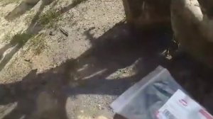 юмз эо 2621 эксковатор ремонт цилиндров  юмз эо 2621 эксковатор