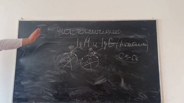 Реакция гиперчувствительности 2 типа