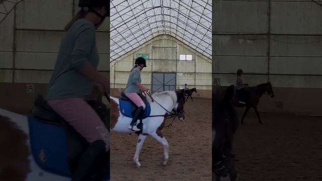 Что сегодня. Воскресенье. Тренировки