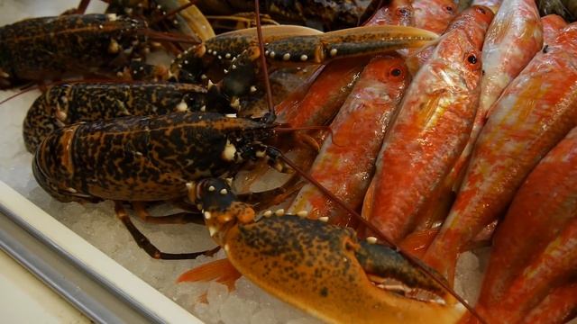 Высокая кухня Греции смотреть онлайн