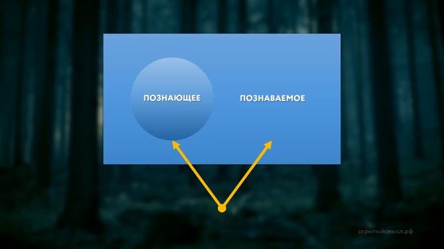 Интуитивное и дискурсивное познание. Путь хитреца и путь умника смотреть онлайн