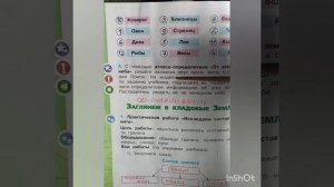 2 класс. ГДЗ. Окружающий мир. Рабочая тетрадь.Часть 1. Плешаков. Страницы 31-32. С комментированием