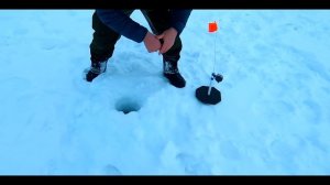 РЫБАЛКА ВЫХОДНОГО ДНЯ И НОВЫЕ ЗНАКОМСТВА