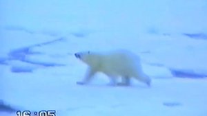 Всплытие АПЛ во льдах