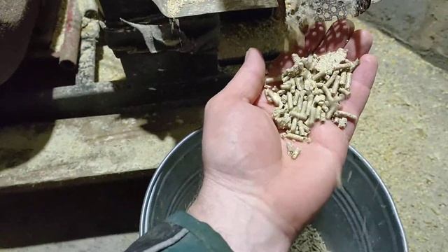 гранулятор своими руками / кормление бройлеров / ведро за 10 мин