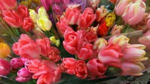 8 Марта поздравления принимают миллионы женщин