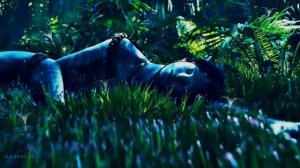 Avatar: The Way of Water | Forest | Ambient Soundscape | 8 Hours