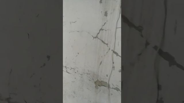 4 01 20 доходный заброшенный гараж в аренду план 10 гаражей смотреть онлайн