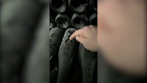 ЭКСКУРСИЯ В МУЗЕЕ «АБРАУ-ДЮРСО»